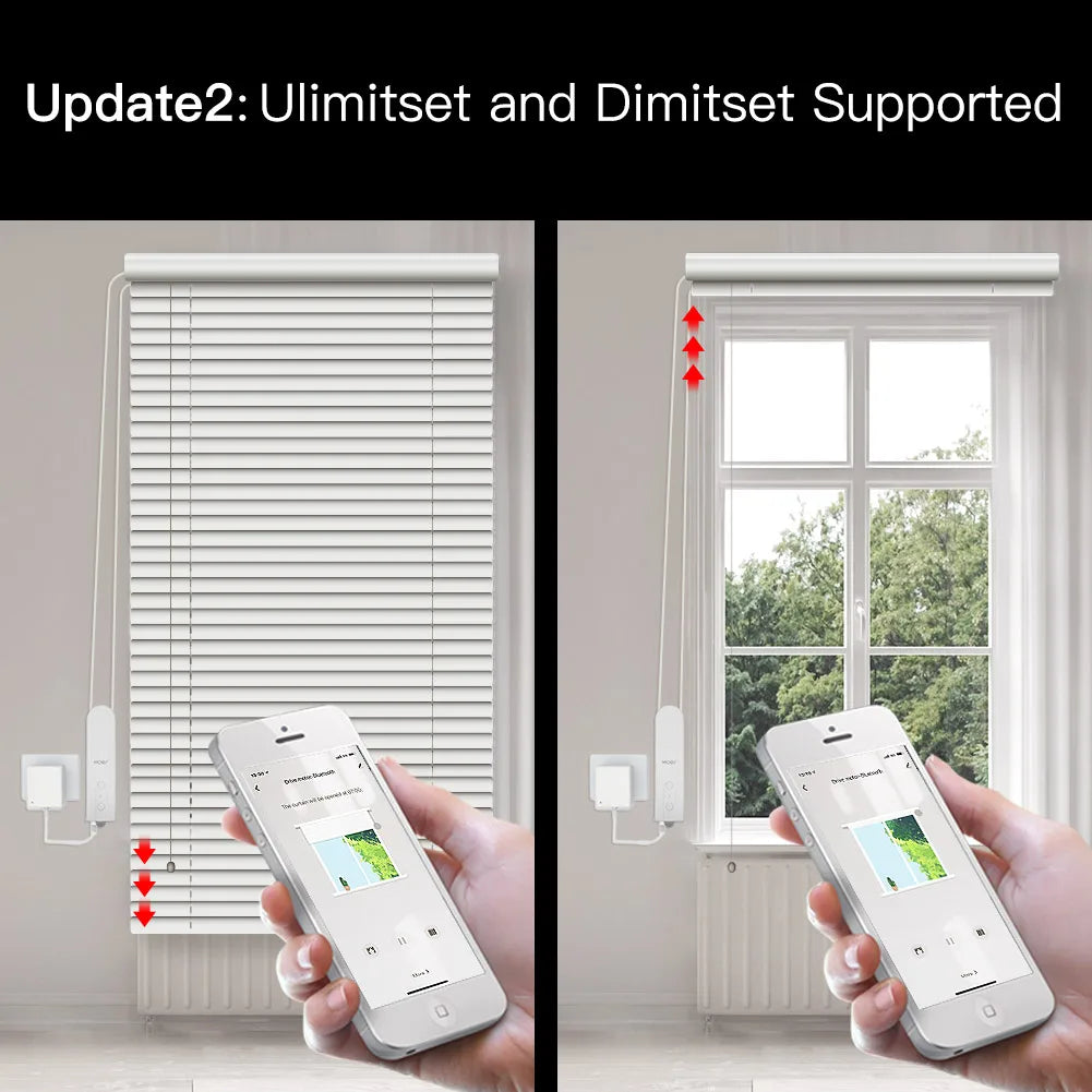 ZigBee-tiendas enrollables motorizadas inteligentes, bricolaje, Motor de accionamiento, Hub, aplicación Tuya Smart Life, Alexa, Google Home, Control por voz